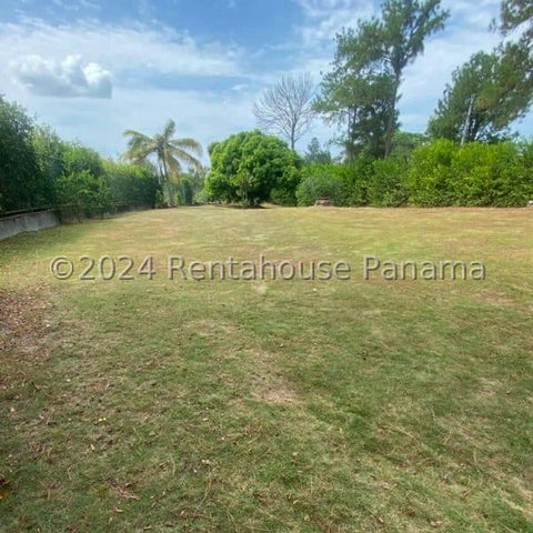 Prime Lot for Sale in Bijao